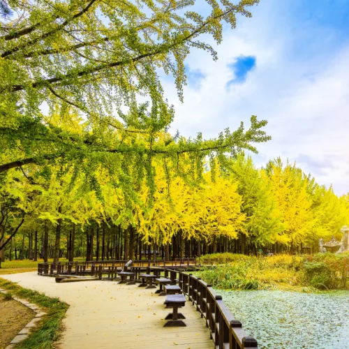 Nami Island