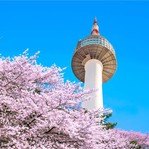 Namsan Tower