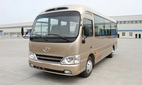 Mini Bus